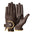 Brown-Gold