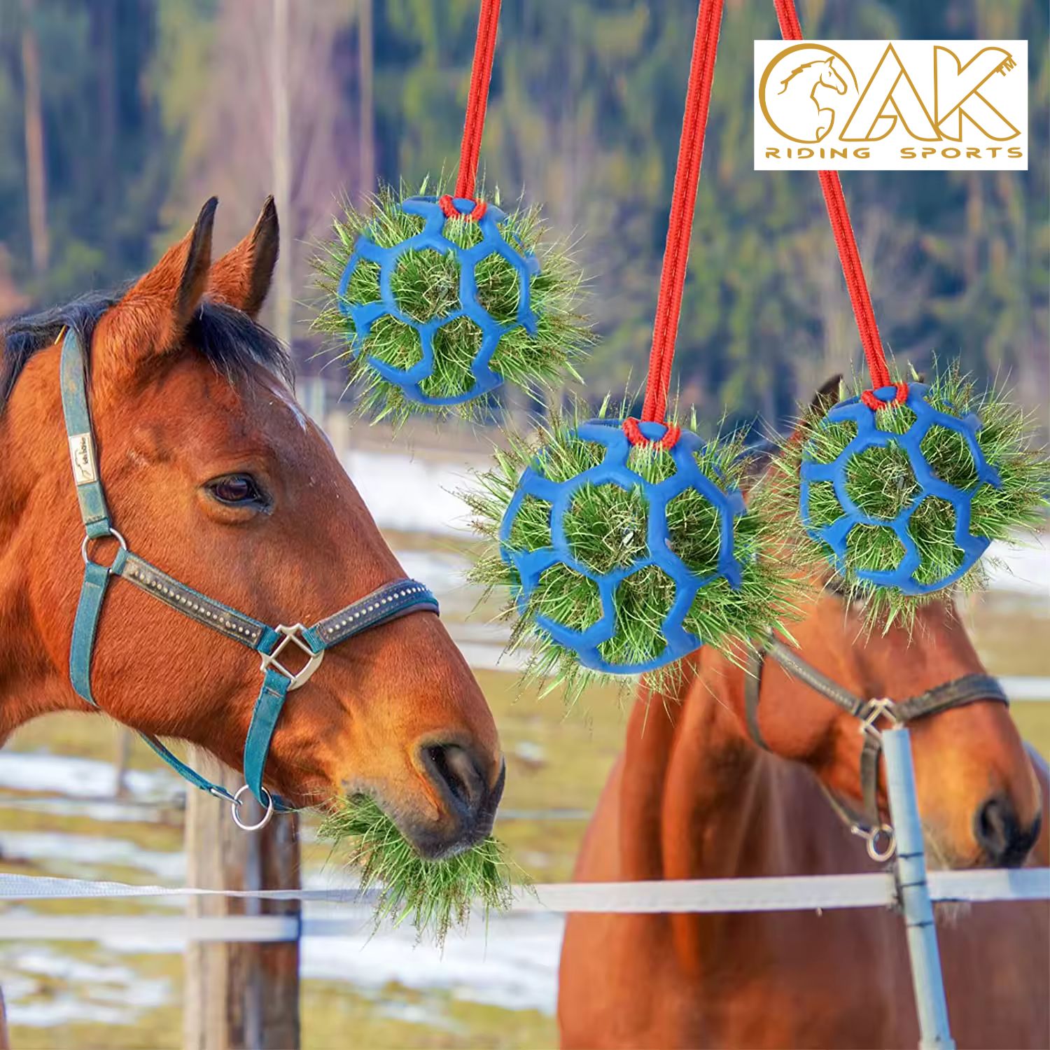 AK Horse Treat Feeder Ball