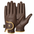 Brown-Gold