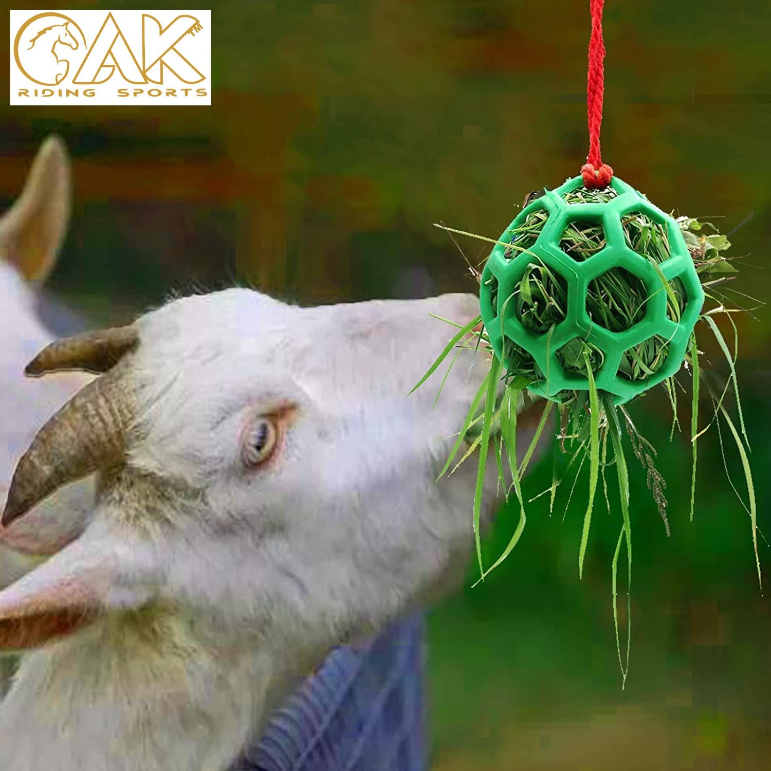 AK Horse Treat Feeder Ball
