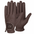 Brown 1